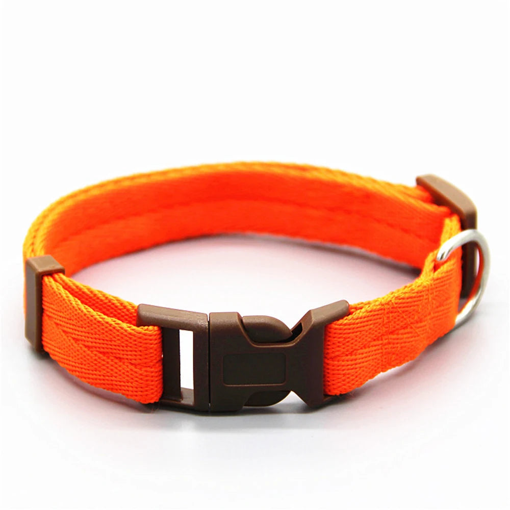 Vackert justerbart fluga hundkoppel halsband halsband hundhalsband som julklapp till valp hund och katt husdjurstillbehör