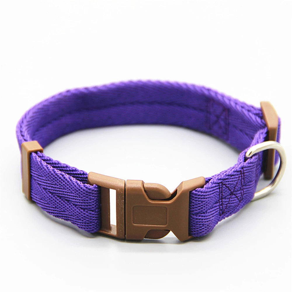 Vackert justerbart fluga hundkoppel halsband halsband hundhalsband som julklapp till valp hund och katt husdjurstillbehör