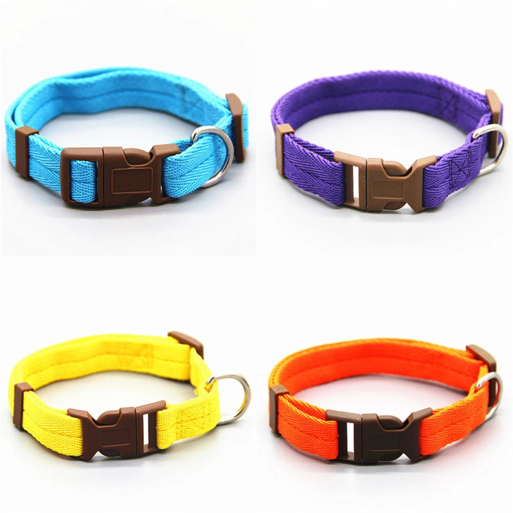Vackert justerbart fluga hundkoppel halsband halsband hundhalsband som julklapp till valp hund och katt husdjurstillbehör