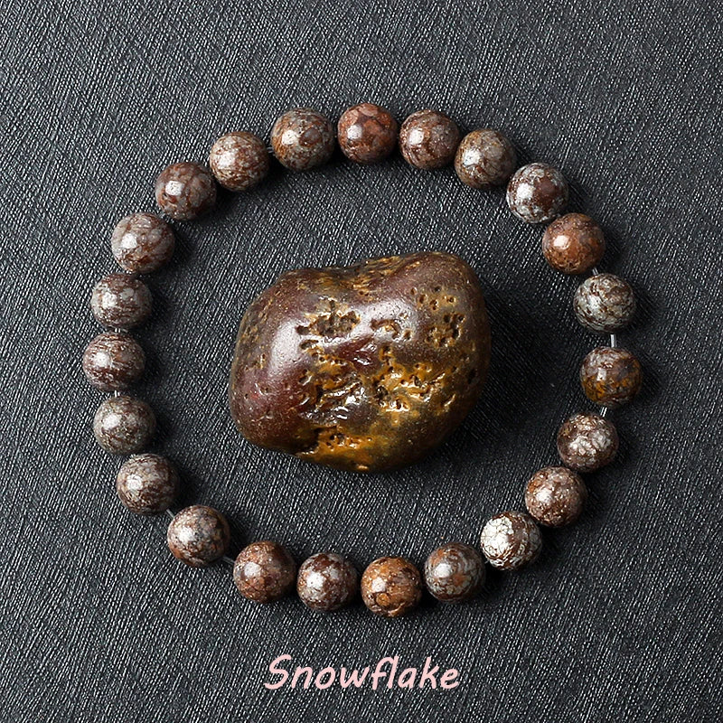 Naturlig drakeblodsten elastiska armband kvinnor män charm dinosaurie jaspis pärlor helande smycken yoga meditation armband gåva