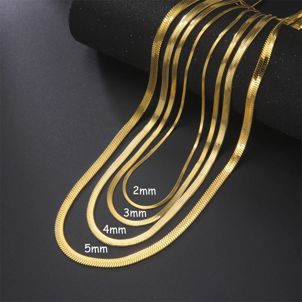 Skyrim Ormkedja Halsband Herr Kvinnor Rostfritt Stål 2/3/4/5mm Bred Platt Fiskbensmönster Halskedjor Trendig Hiphop Smycken Present Het