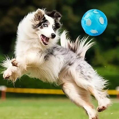 1 st flytande havsboll, hundleksaksboll jaktvattenleksaksboll, interaktiv TPR-hundleksaksboll flytande vattenboll