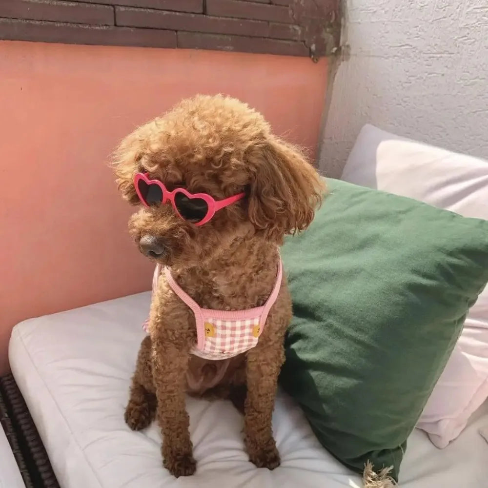 Kärleksglasögon för husdjur Hund Katt Kreativa modesolglasögon Solglasögon med smycken Katt Hund Kärleksglasögon Husdjursskönhetsdekorationstillbehör