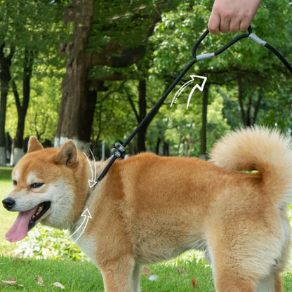 Hundkoppel P-kedja Hundkoppel Justerbart Hundkedjekoppel Dubbelhandtagkoppel För Hundpromenader Valp P-kedjakoppel 1,4M Djurtillbehör