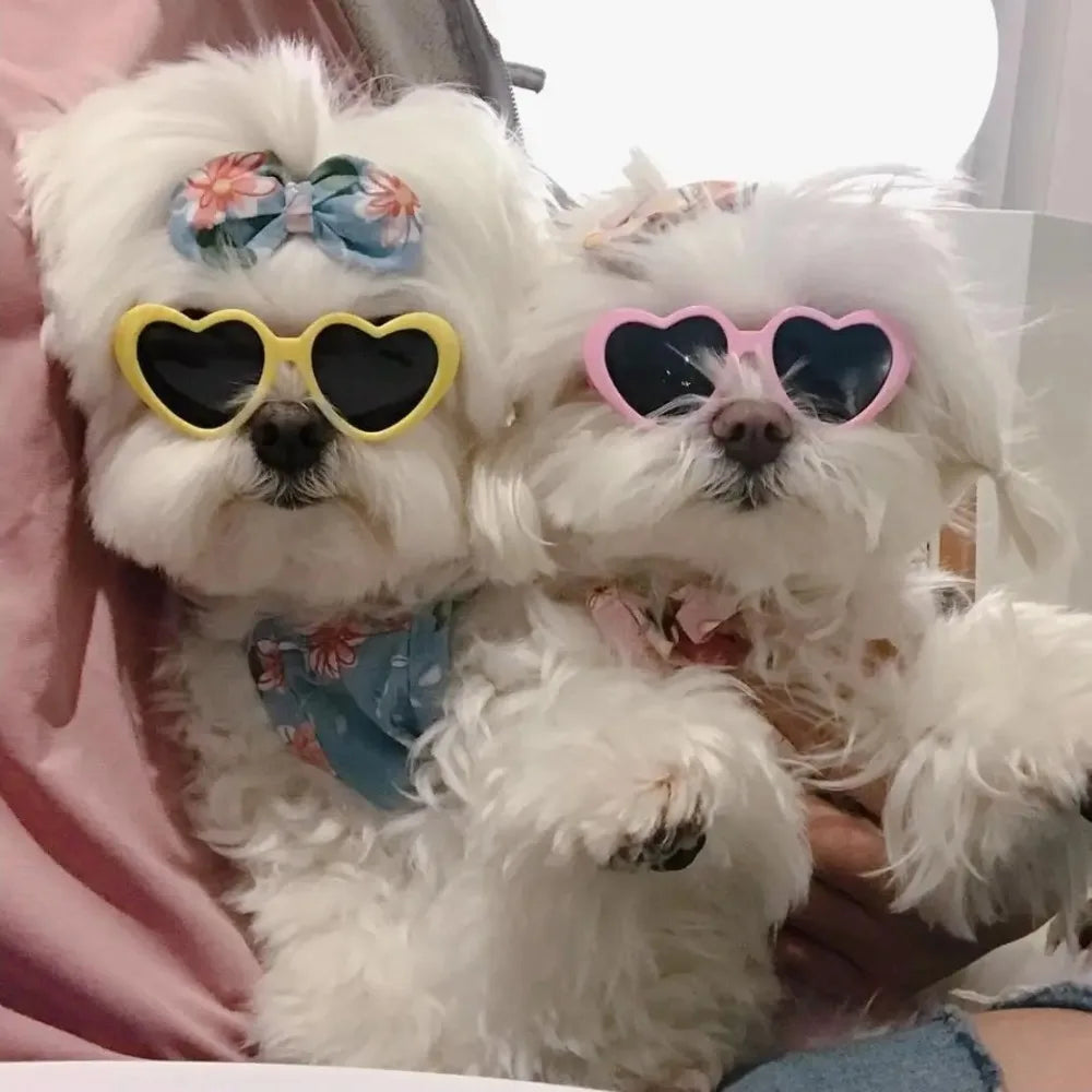 Kärleksglasögon för husdjur Hund Katt Kreativa modesolglasögon Solglasögon med smycken Katt Hund Kärleksglasögon Husdjursskönhetsdekorationstillbehör