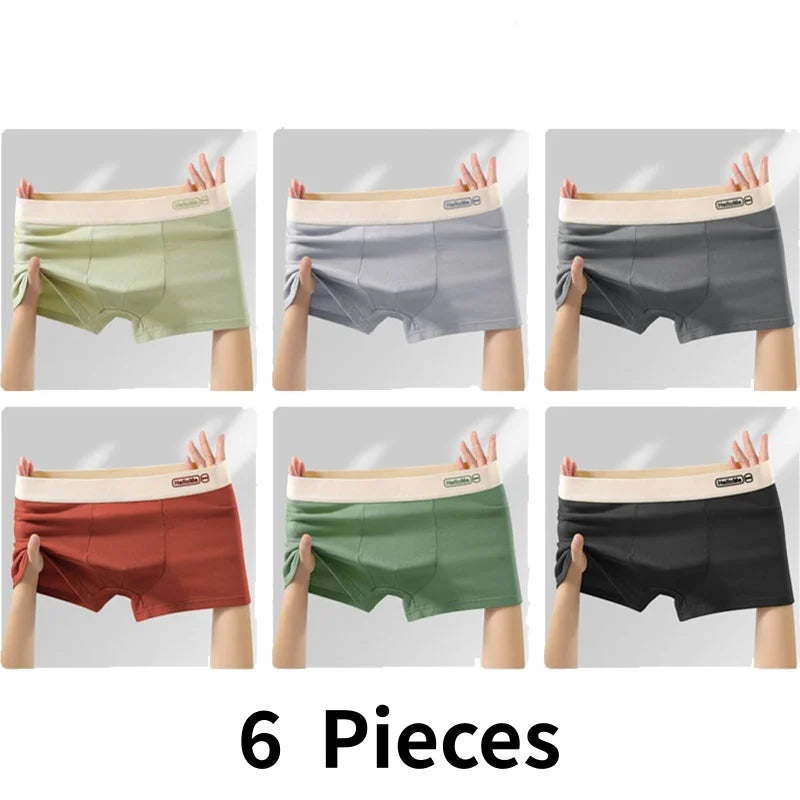 6 st. herrunderkläder i ren bomull boxershorts herrtrosor herr andningsbara antibakteriella underbyxor sexiga sportkomfort herrboxare