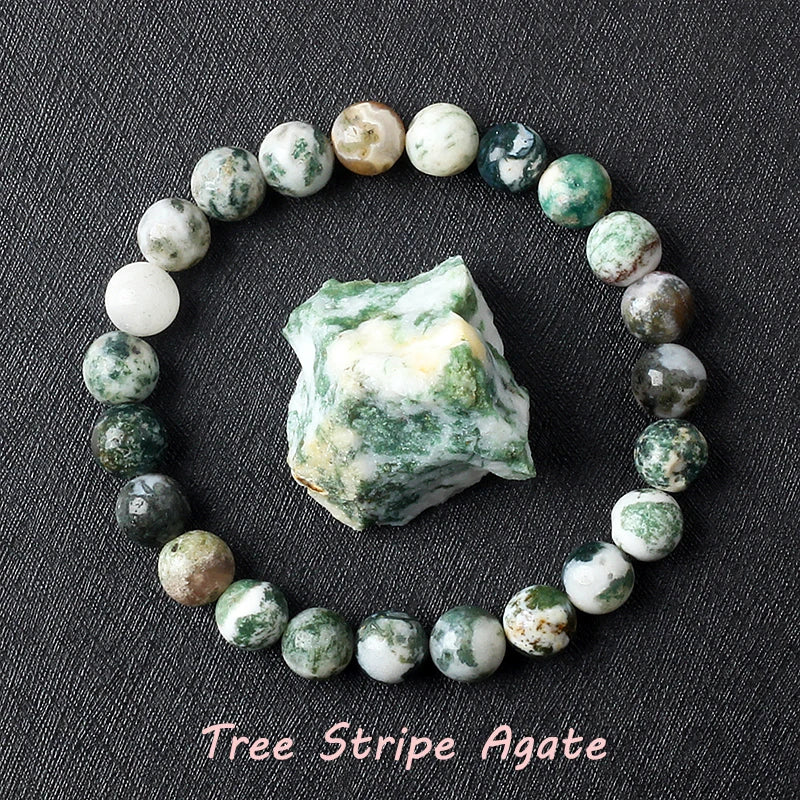 Naturlig drakeblodsten elastiska armband kvinnor män charm dinosaurie jaspis pärlor helande smycken yoga meditation armband gåva
