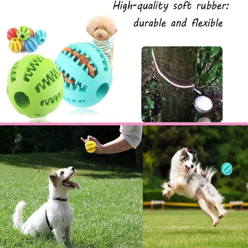 Hundleksaksboll Interaktiva gummibollar Valp tuggleksaker Tandborttagningsboll Katter Husdjur Mat Godismatare Silikonbollar Leksak