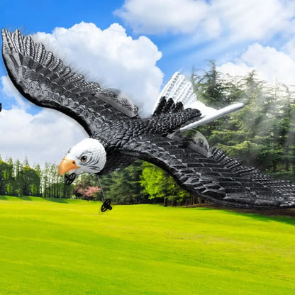 EPP Skum RC Eagle Flygplan Jaktplan Gravitationsavkännande 2.4G Stunt Eagle RC Flygleksaker Bärbar Hållbar Fjärrstyrd Skum Jaktplan