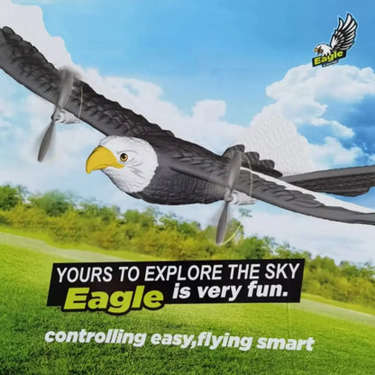 EPP Skum RC Eagle Flygplan Jaktplan Gravitationsavkännande 2.4G Stunt Eagle RC Flygleksaker Bärbar Hållbar Fjärrstyrd Skum Jaktplan