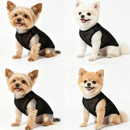 1 st. Andningsbar nätväst för husdjur, ärmlös katt- och hundkläder, ultralätta, svala kläder för bichon, teddy, chihuahua, valp, kattunge