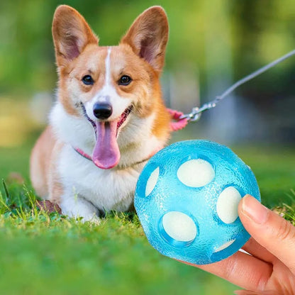 1 st flytande havsboll, hundleksaksboll jaktvattenleksaksboll, interaktiv TPR-hundleksaksboll flytande vattenboll