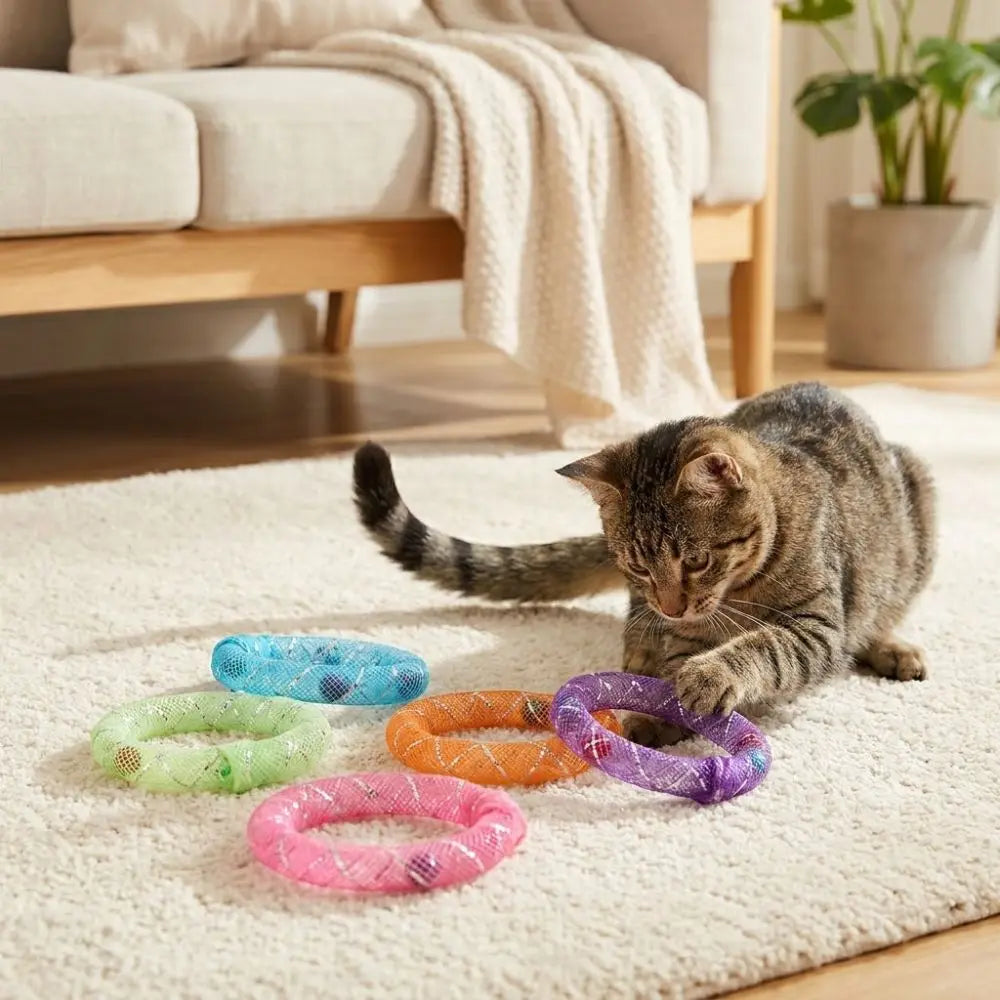 5 st. klockljud, cirkelklockkatt, mjukt nät, bettresistent, självlekkatt, färgglad studsande fjäderkatt, interaktivt rutnät, rör