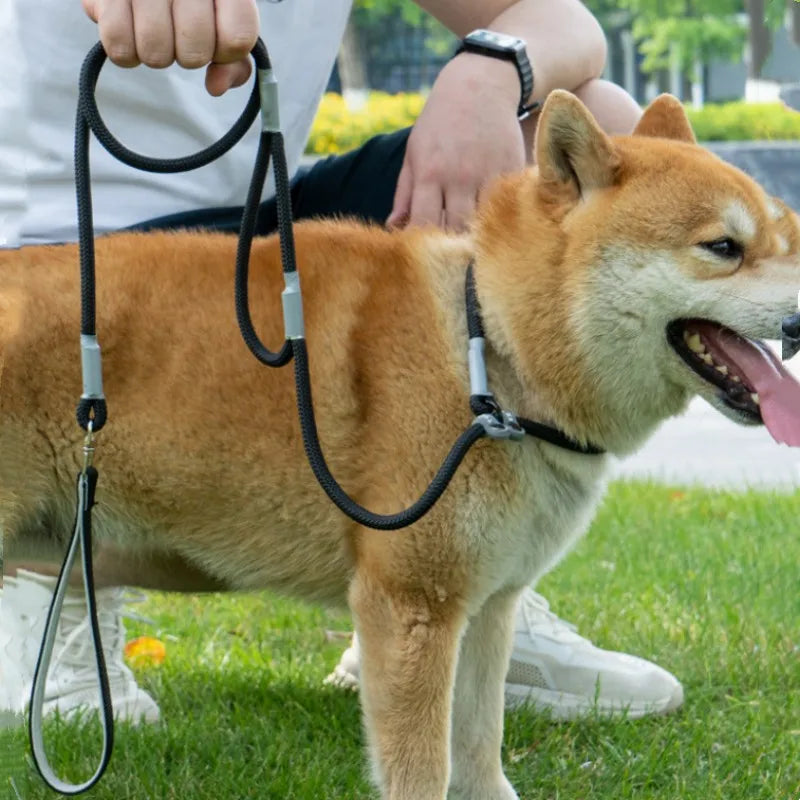 Hundkoppel P-kedja Hundkoppel Justerbart Hundkedjekoppel Dubbelhandtagkoppel För Hundpromenader Valp P-kedjakoppel 1,4M Djurtillbehör