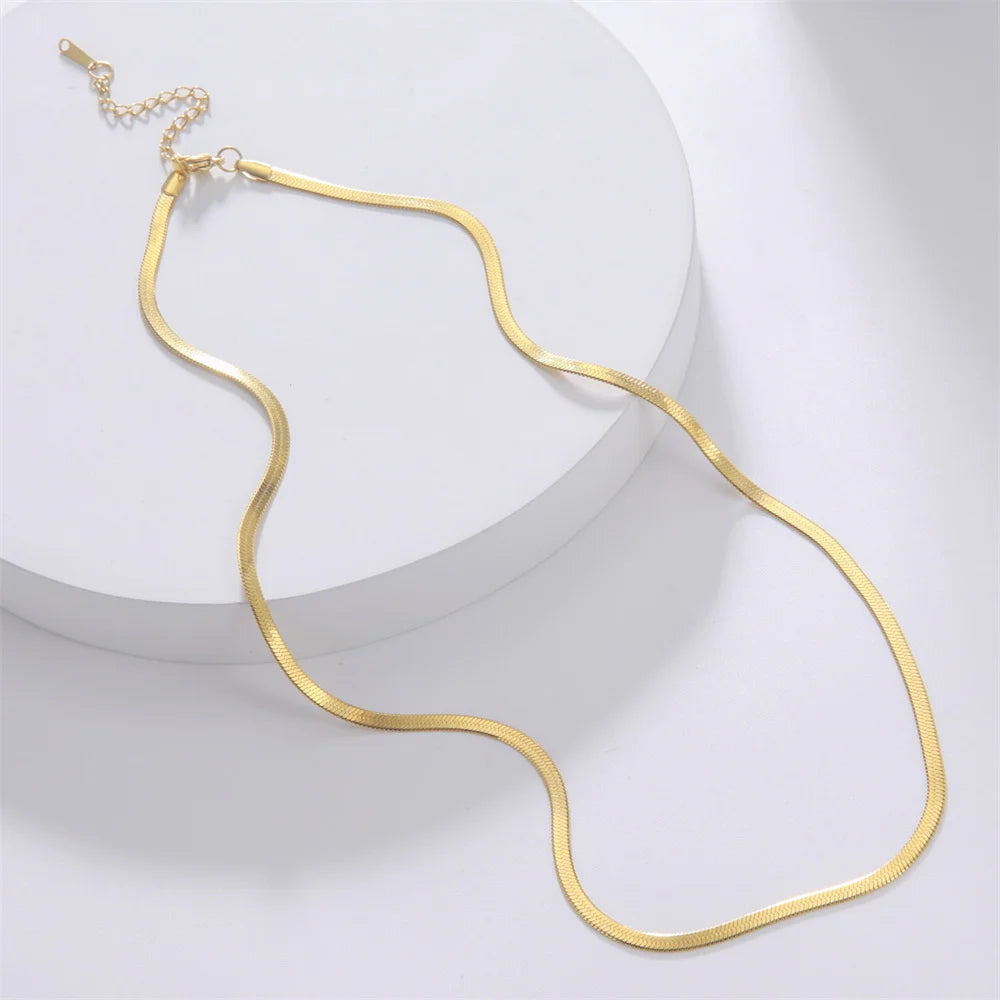 Skyrim Ormkedja Halsband Herr Kvinnor Rostfritt Stål 2/3/4/5mm Bred Platt Fiskbensmönster Halskedjor Trendig Hiphop Smycken Present Het